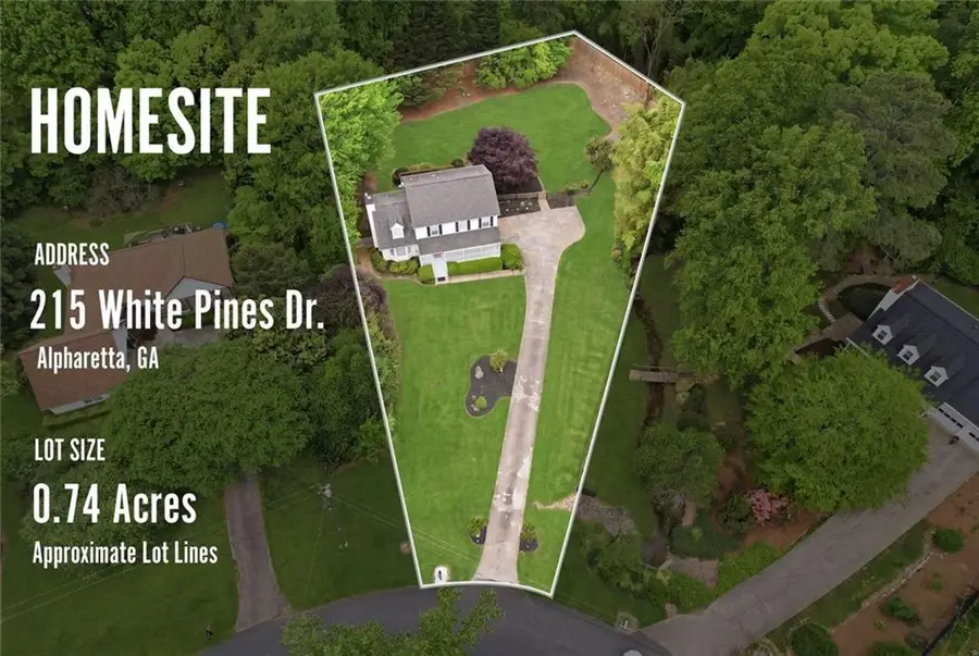 215 White Pines Drive, Alpharetta, GA 30004 - #2