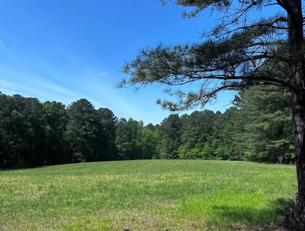 0 Wilkerson Mill Road, Palmetto, GA 30268 - #1