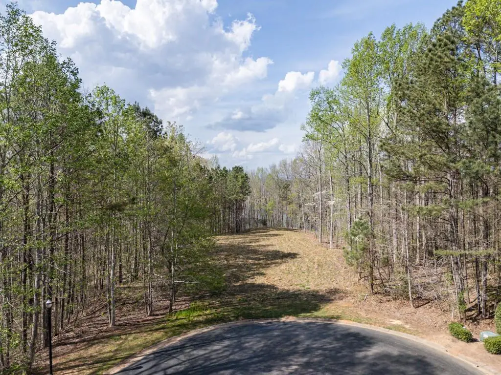 1005 Overlook Terrace Lot 53, Ball Ground, GA 30107 - #1