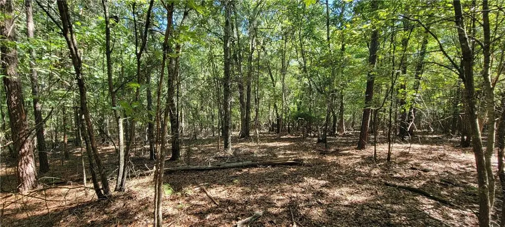 5 Ripplewood Trail, Euharlee, GA 30145 - #1
