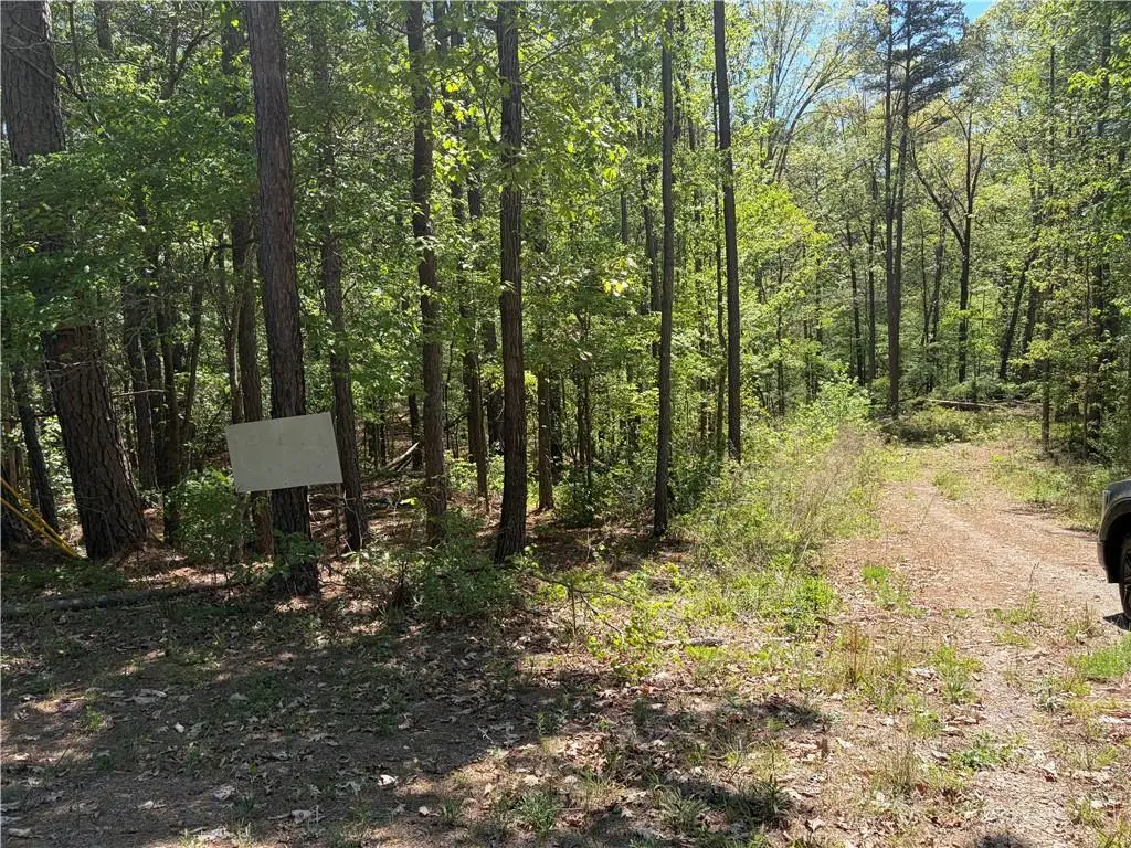 0 Gore Lakes Road, Dallas, GA 30132 - #1