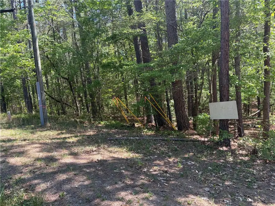 0 Gore Lakes Road, Dallas, GA 30132 - #2