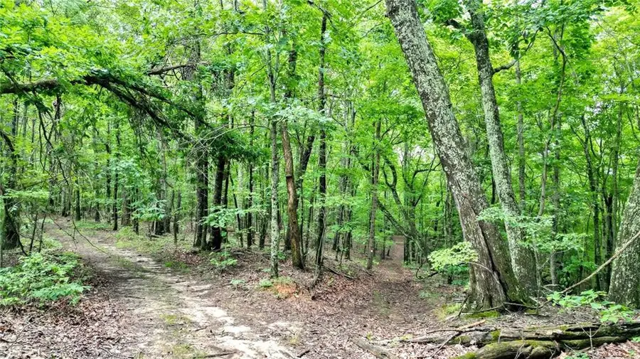 Trt B Cascade Drive, Jasper, GA 30143 - #2