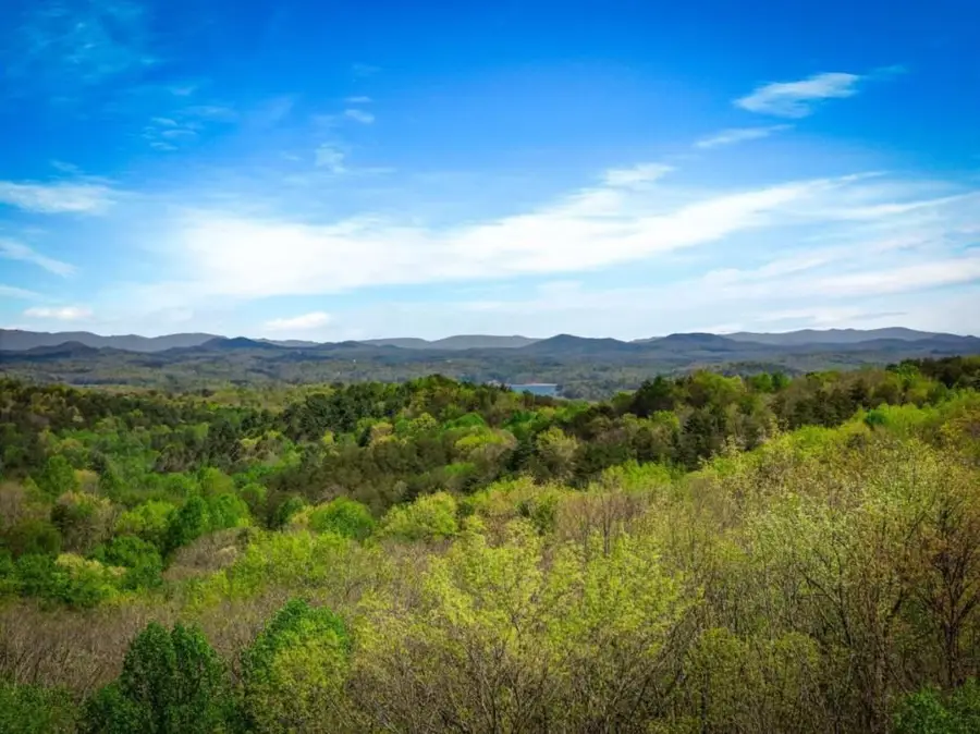 245 Davenport Mountain Road #3, Blue Ridge, GA 30513 - #2