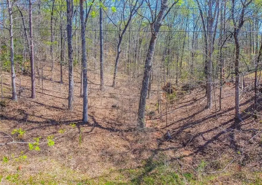 0 Arrow Lane, Lavonia, GA 30553 - #3