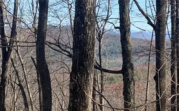 102 Badger Road, Blairsville, GA 30512