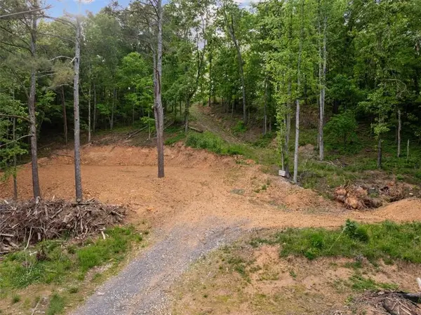 307 Moores Ferry Road Sw, Plainville, GA 30733