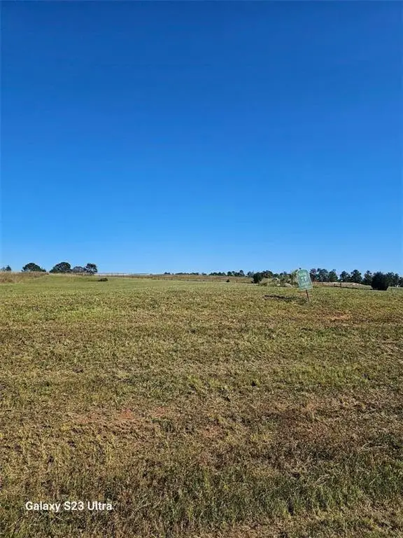 35 River Meadow Lane, Social Circle, GA 30025 - #2