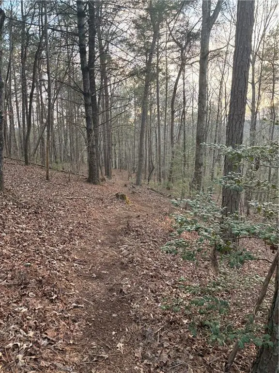 0 Shady Grove Church Road, Talking Rock, GA 30175 - #2