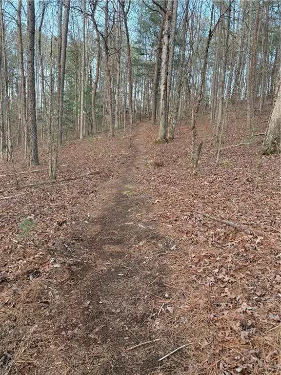 0 Shady Grove Church Road, Talking Rock, GA 30175 - #3