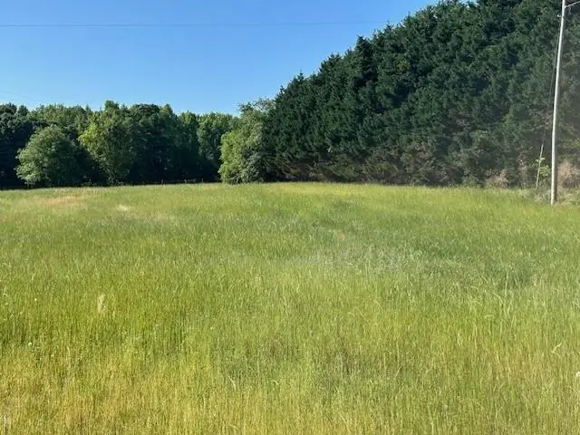 0 Simmons Road, Social Circle, GA 30025 - #3