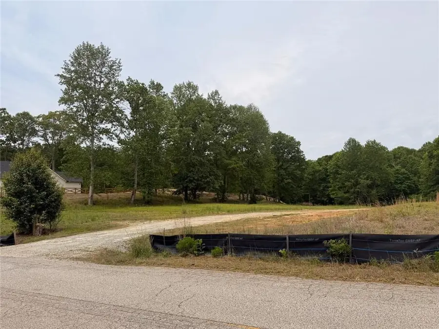 405 Cooper Bridge Road, Braselton, GA 30517 - #3