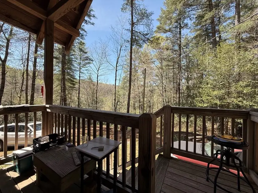 306 Jacks River Road, Epworth, GA 30541 - #3