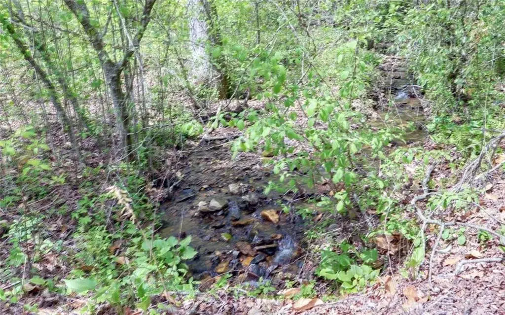 t-2 Clayton Gooch Road, Dahlonega, GA 30533 - #1