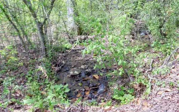 t-2 Clayton Gooch Road, Dahlonega, GA 30533