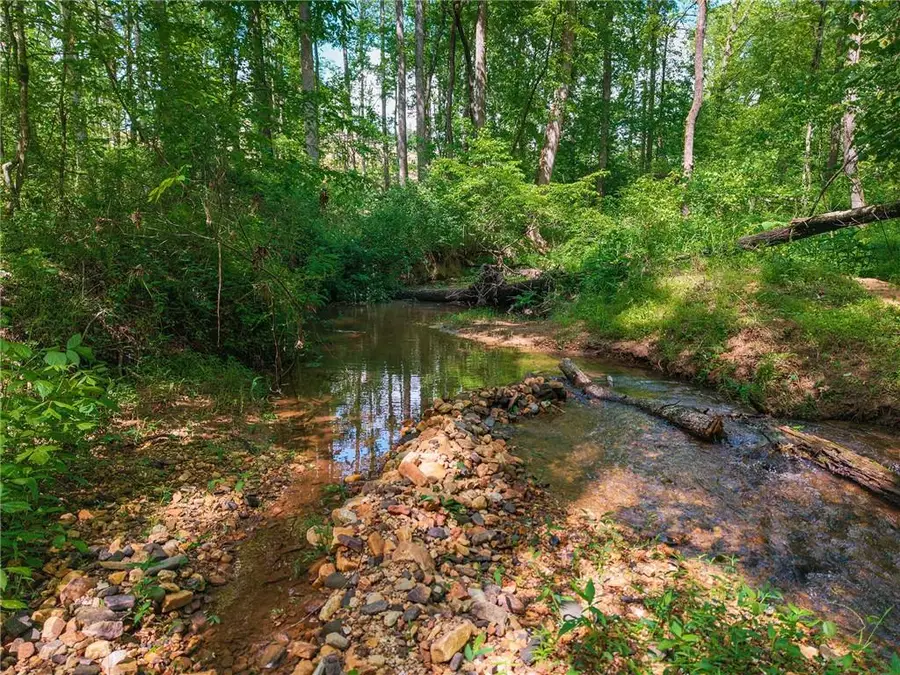 392 London Road, Ball Ground, GA 30107 - #3