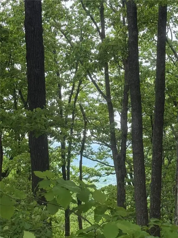Lot 38 Mountainside Drive, Cleveland, GA 30528 - #3