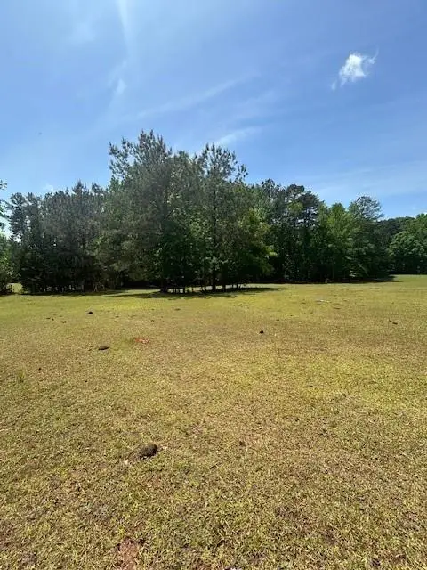768 S Bethany Road, McDonough, GA 30252 - #2