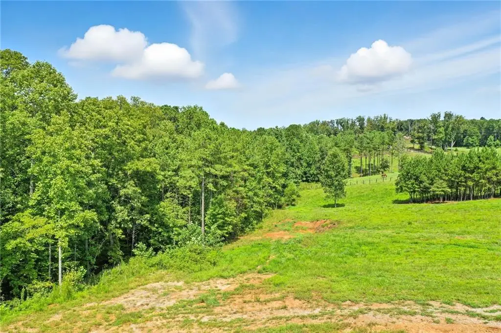 3511 Reavis Mountain #2 Road, Ball Ground, GA 30107 - #1