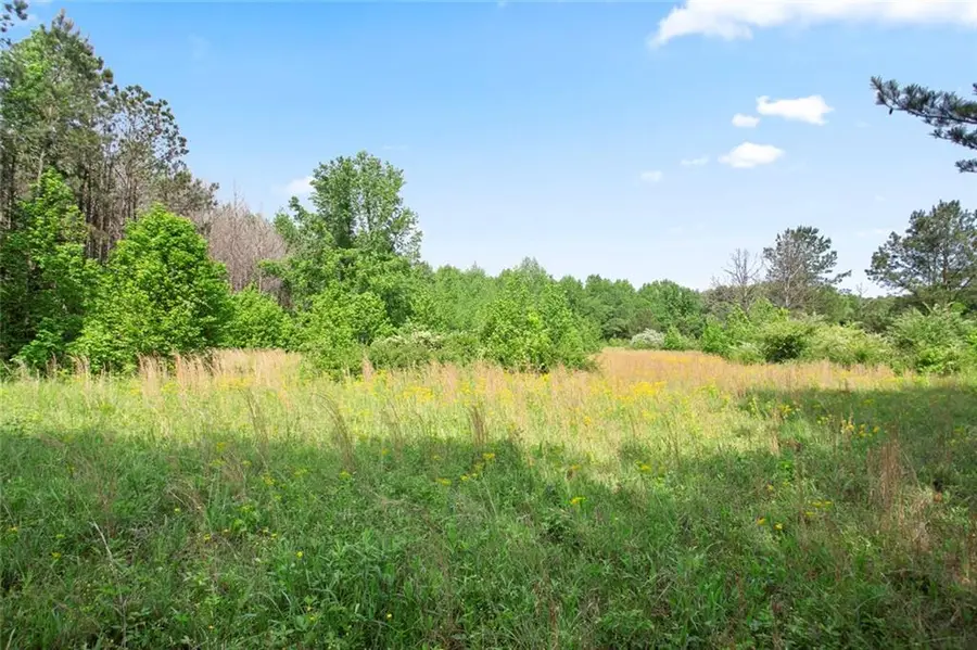 3Acres Satcher Rd, Taylorsville, GA 30178 - #2