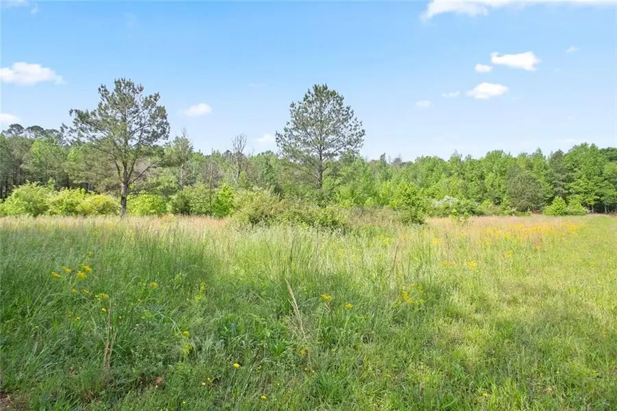 3Acres Satcher Rd, Taylorsville, GA 30178 - #3