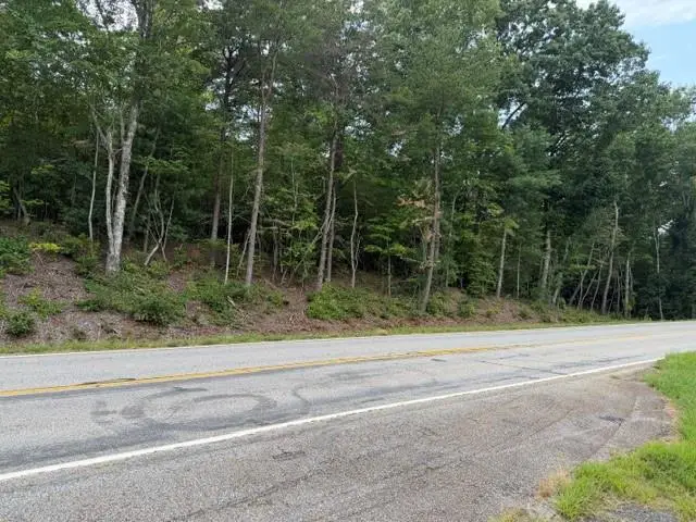 0 Hwy 52 West, Dahlonega, GA 30353 - #2