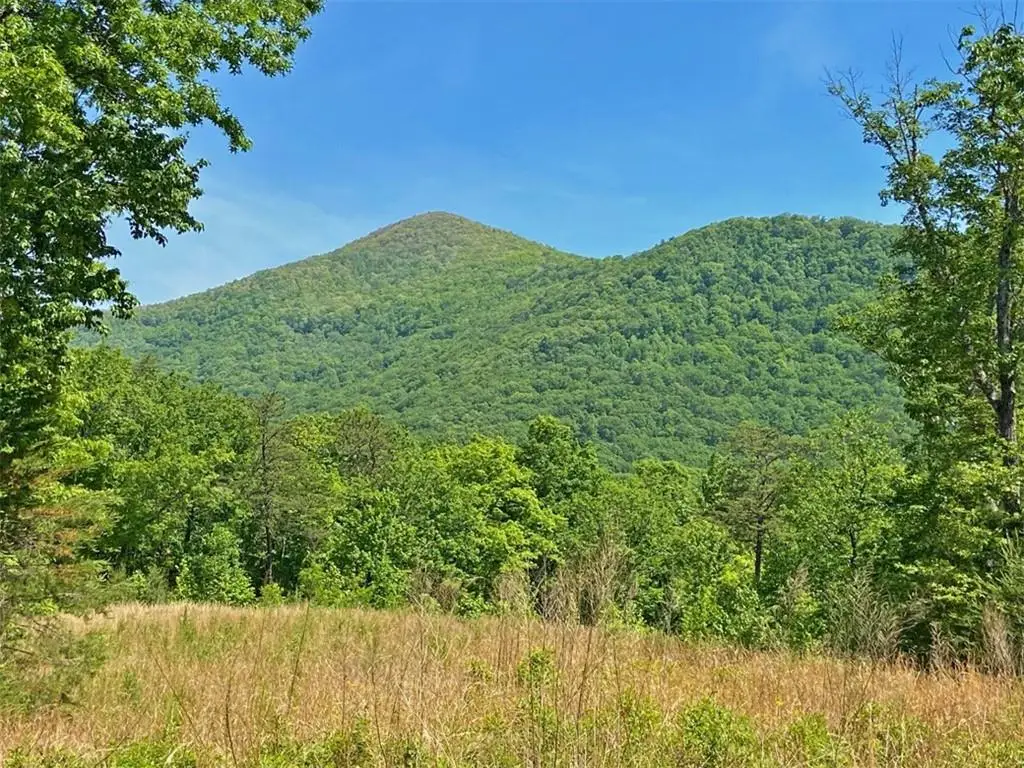 10.5ac Jack Walker Road, Dahlonega, GA 30533 - #1