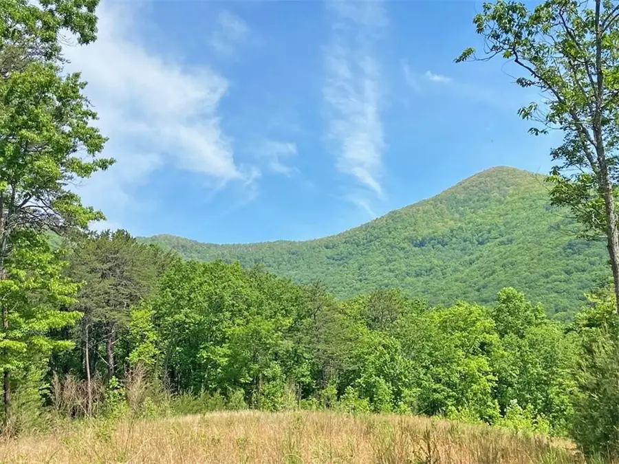 10.5ac Jack Walker Road, Dahlonega, GA 30533 - #2