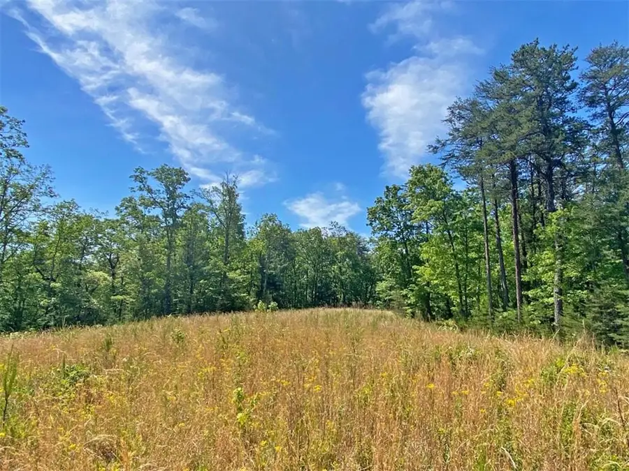 10.5ac Jack Walker Road, Dahlonega, GA 30533 - #3