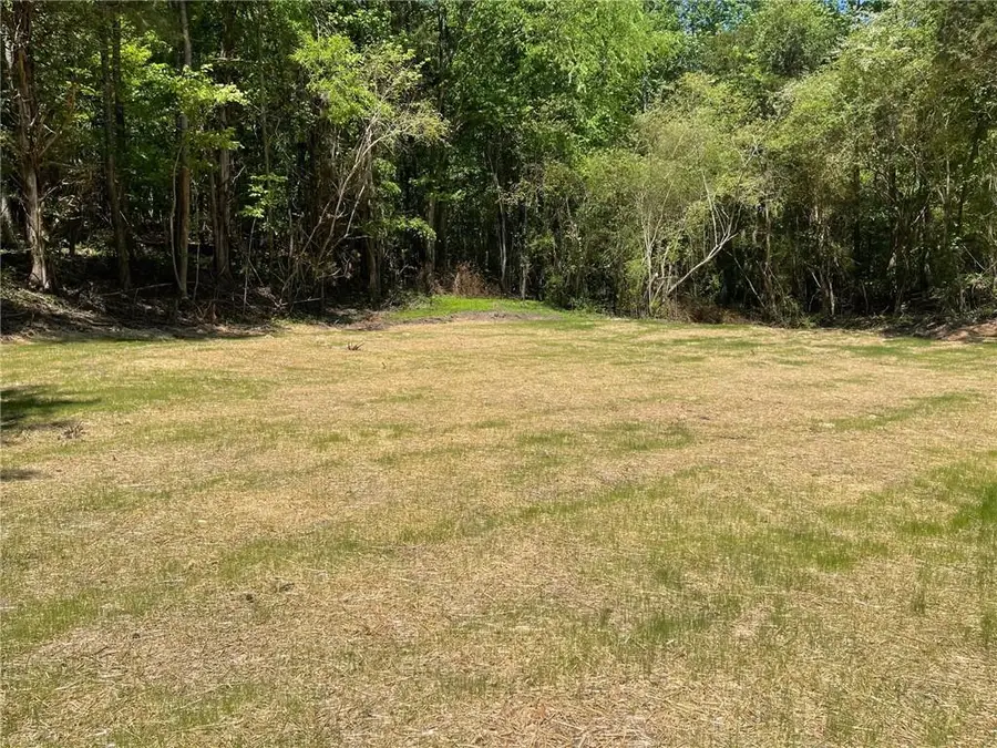 Lot 14 Chalcrest Way, Cave Spring, GA 30124 - #3