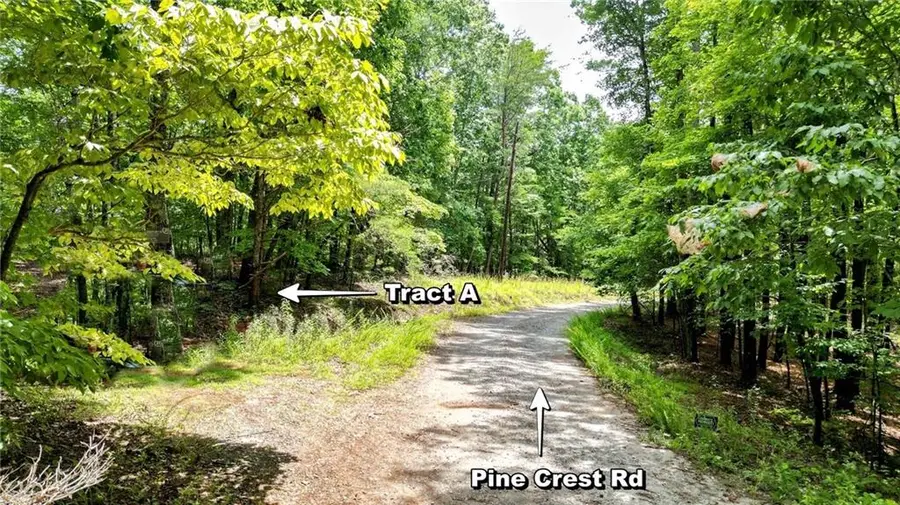 23.83 Pine Crest Road, Jasper, GA 30143 - #3