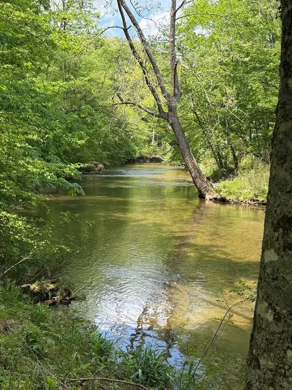 9.8 AC Brown Mountain Road, Suches, GA 30572