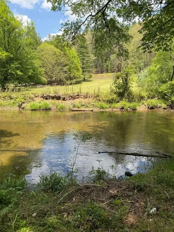 9.8 AC Brown Mountain Road, Suches, GA 30572 - #3