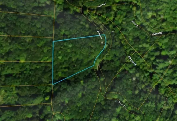 Lot206 Dowel Circle, Ellijay, GA 30540