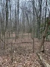 0 Center Road, Cartersville, GA 30121 - #3