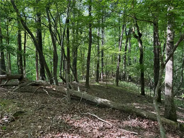 00 High Shoals Drive, Dahlonega, GA 30533