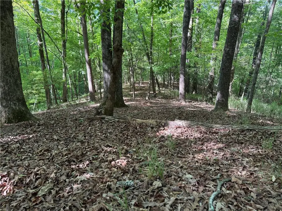 00 High Shoals Drive, Dahlonega, GA 30533 - #2
