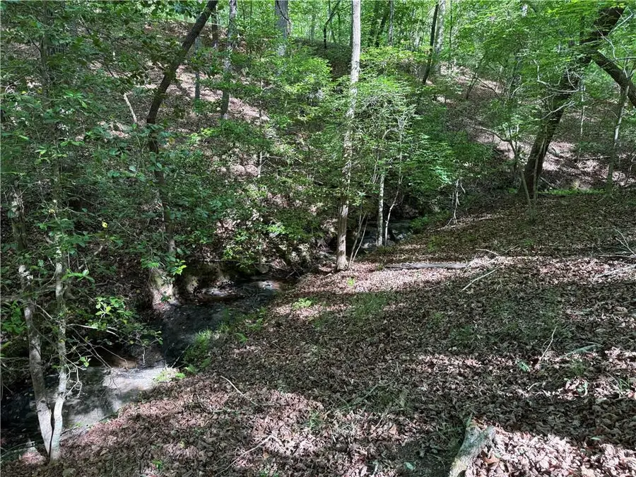 00 High Shoals Drive, Dahlonega, GA 30533 - #3