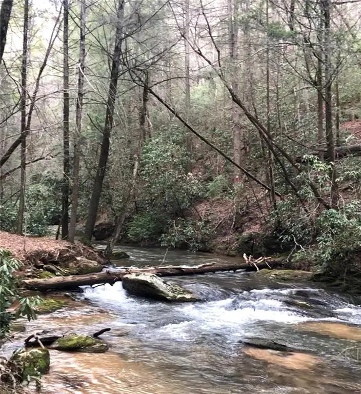 106 Nimblewill Overlook, Dahlonega, GA 30533 - #2