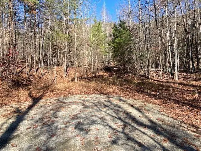 8 Cameron Point, Cleveland, GA 30528 - #1