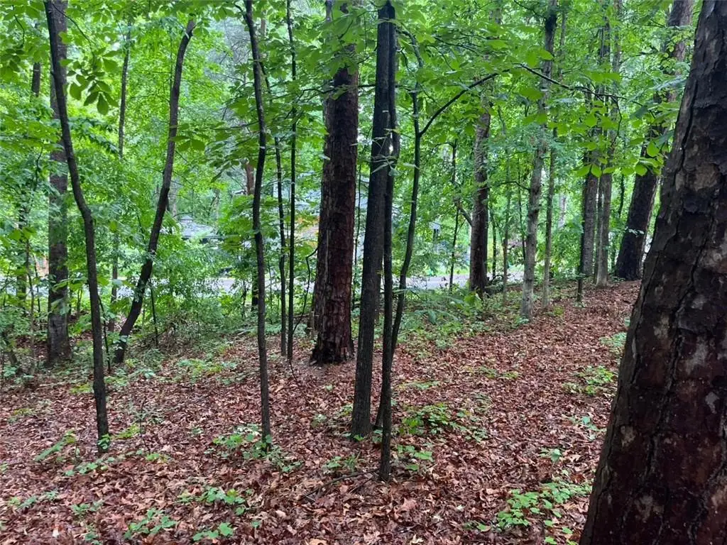 0 Lake Club Drive, Lavonia, GA 30553 - #1