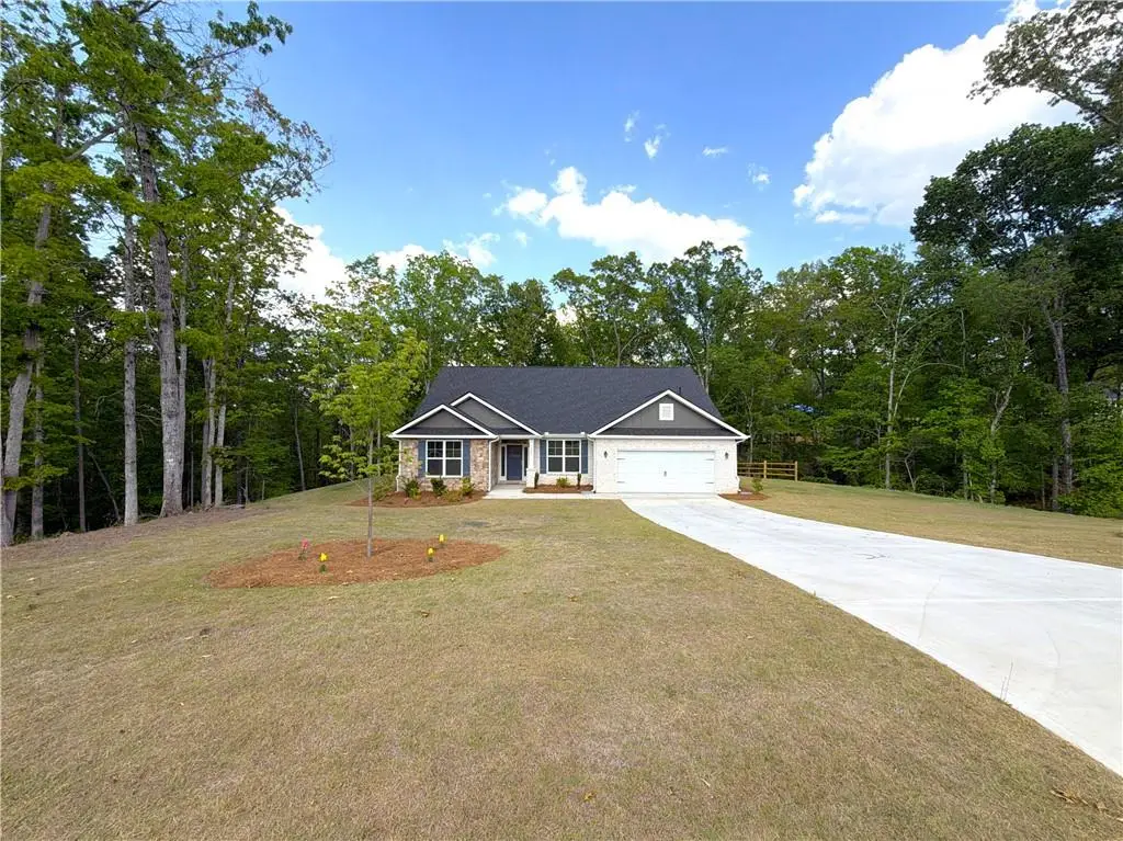 3305 Trevi Trail, Douglasville, GA 30135 - #1