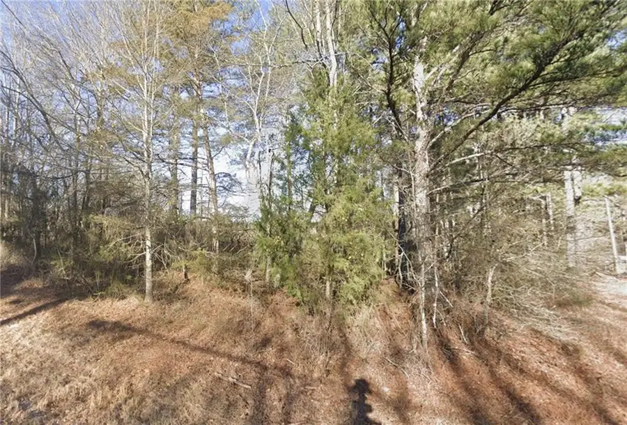 000 New Hope Church Road, Loganville, GA 30052 - #2