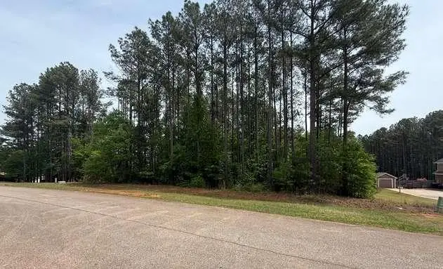 30 Mattie Court, Mansfield, GA 30055 - #2