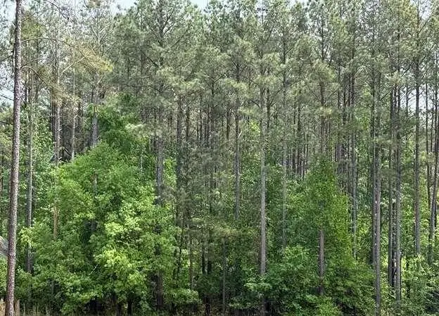30 Mattie Court, Mansfield, GA 30055 - #3