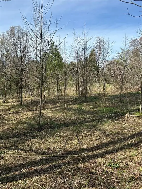 0 Browning Road, Fairmount, GA 30139 - #3