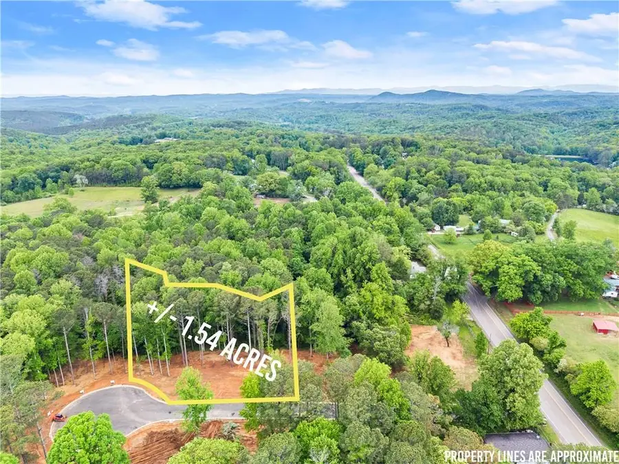 Lot 6 Lowe Lane, Talking Rock, GA 30175 - #2