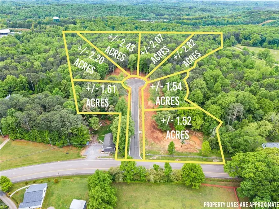 Lot 6 Lowe Lane, Talking Rock, GA 30175 - #3
