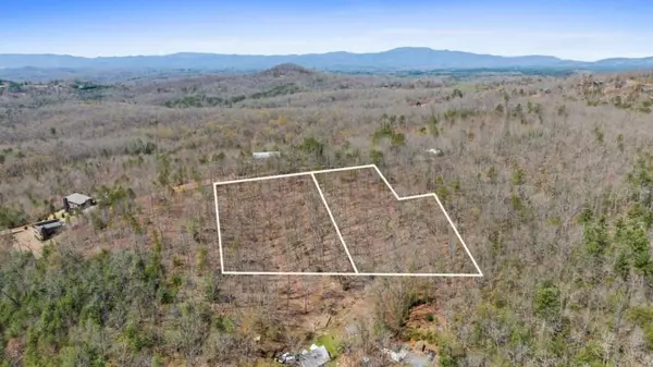 40A Synacia Road, Mineral Bluff, GA 30559