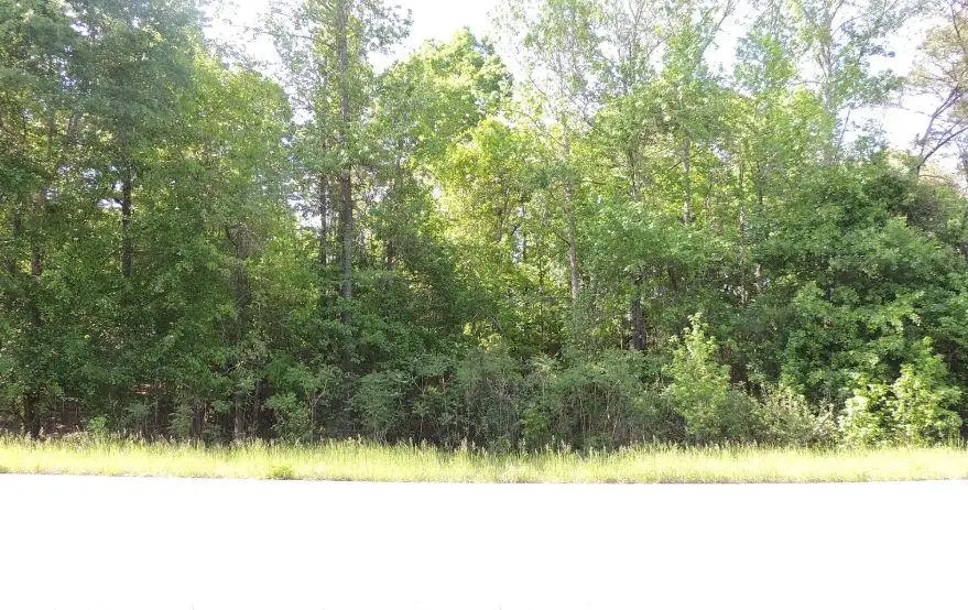 0 Causey Rd, Knoxville, GA 31050 - #1